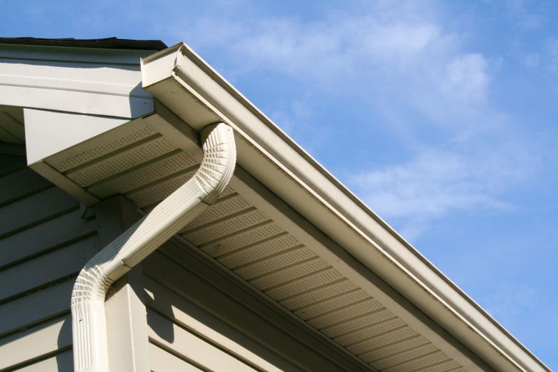 Roof Gutter Replacement